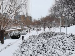 -元大都城垣遗址公园