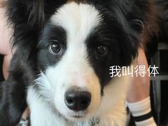 -小巨场咖啡