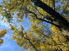 -西湖风景区十里琅珰-五云山