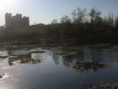 -前关湿地公园