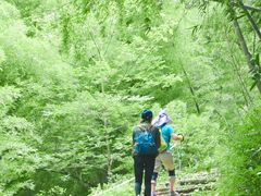 -会稽山峡洞漂流-上青古道
