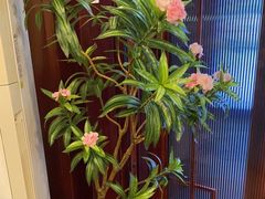 -阿西娅食府(中关村店)