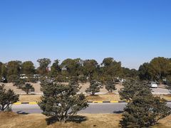 -长兴慧子土特产茶行