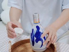 -坂田天虹