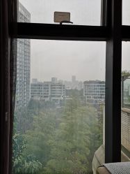 -金芙美月子中心(财富别墅店)