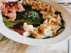 清蒸东星斑-宝丽轩中餐厅BAOLIXUAN