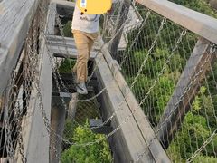 -黄龙山原始森林景区