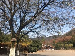 -虞山风景区