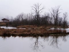 -大九湖