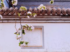 -海棠花溪(元大都城垣遗址公园)