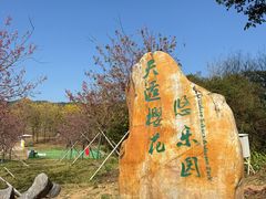 -天适樱花悠乐园
