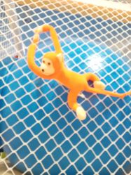 -胜利乐园(胜利购物广场店)