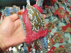 -越百海海鲜蒸锅(乐山店)