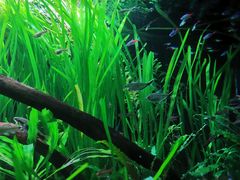 -上海海洋水族馆