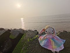 -南汇嘴观海公园