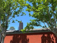 -西海子公园