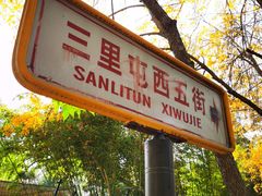 -三里屯东五街银杏大道