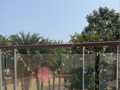 -逸廊大堂吧(三亚海棠湾万丽度假酒店)