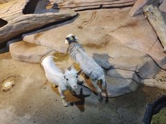 -苏州海洋馆