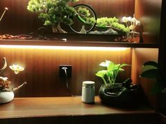 -聆耳·采耳·按摩·SPA(会展中心店)