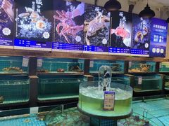 -梦都海鲜酒家(万达广场江桥店)