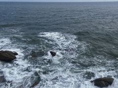 -广东惠东海龟国家级自然保护区