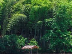 -佛手湖郊野公园