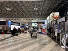 -米兰-马尔彭萨机场