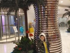 -南宫温泉水世界