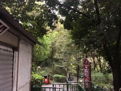 -成都市活水公园