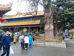 -普陀山风景名胜区-法雨禅寺