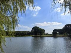 -旭宝高尔夫俱乐部