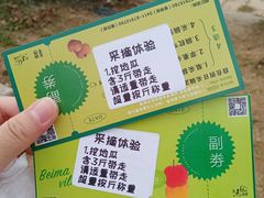 -大连北马山庄