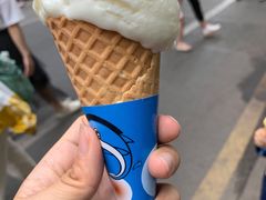 椰子雪糕-顺记冰室(宝华路店)