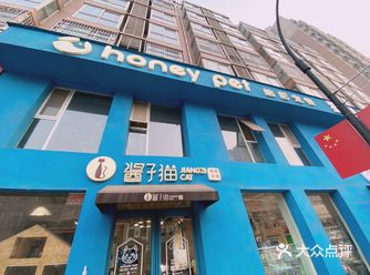 宝藏宠物店！酱子猫原来是酱紫的哇～