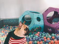 -太阳岛度假酒店