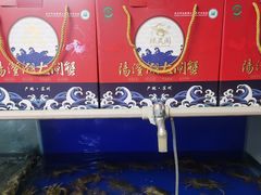 -阳澄湖大闸蟹·琼灵阁牌品牌连锁(吴中总店)