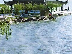 -天乐农家鱼头王(天目湖店)