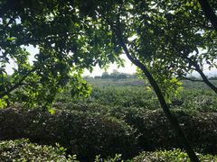 -南京市江宁方山