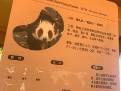 -武汉动物园