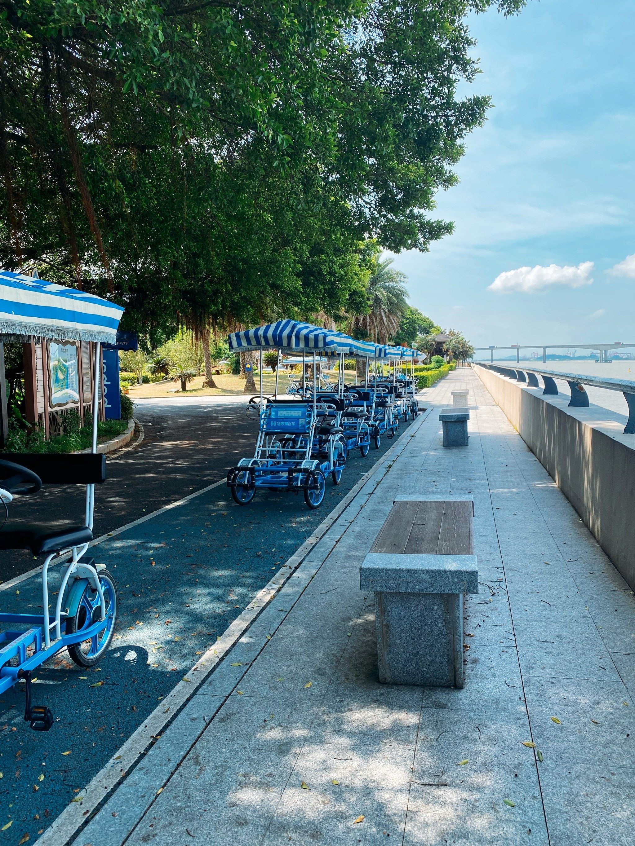 海边踩单车,观海真的很凉爽写意