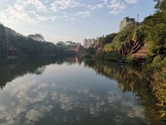 -西双版纳原始森林公园