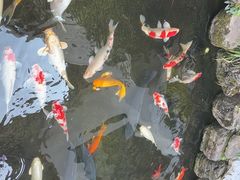 -聚福宝合苑食府(南头镇店)