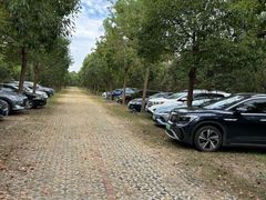 -上海海湾国家森林公园