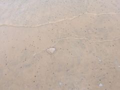 -东戴河风景区-止锚湾
