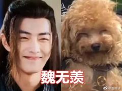 -至潮影城(厦禾路美仁广场店)