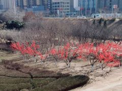 -咸阳湖景区-古渡公园