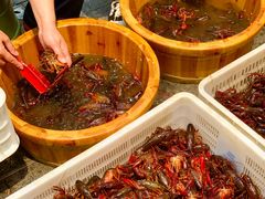 -可可大虾武汉土菜大排档(万松园1店)