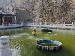 -八大处公园