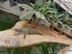 -石家庄市动物园